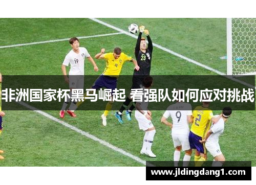 非洲国家杯黑马崛起 看强队如何应对挑战